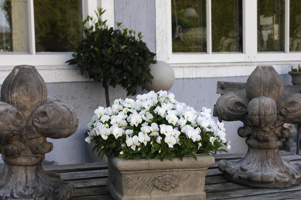Hotel Zur Sonne Rimsting Bagian luar foto